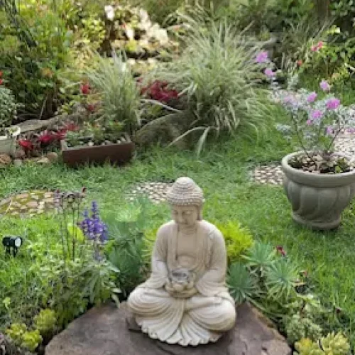 WhatsApp Image 2022-03-03 at 11.31.48